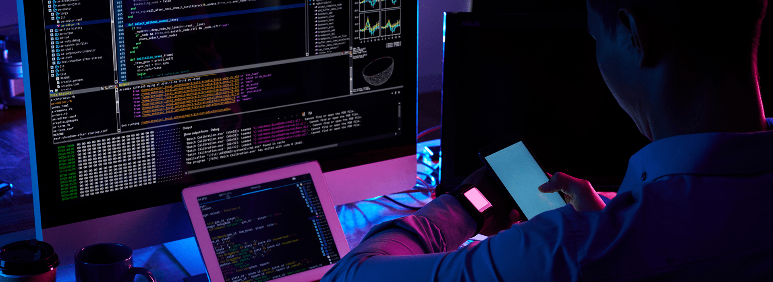 Software Development